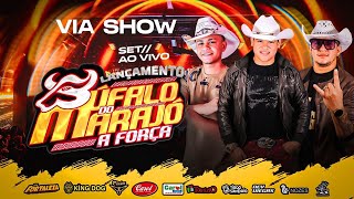LANÇAMENTO DO BÚFALO DO MARAJÓ NA VIA SHOW 2023