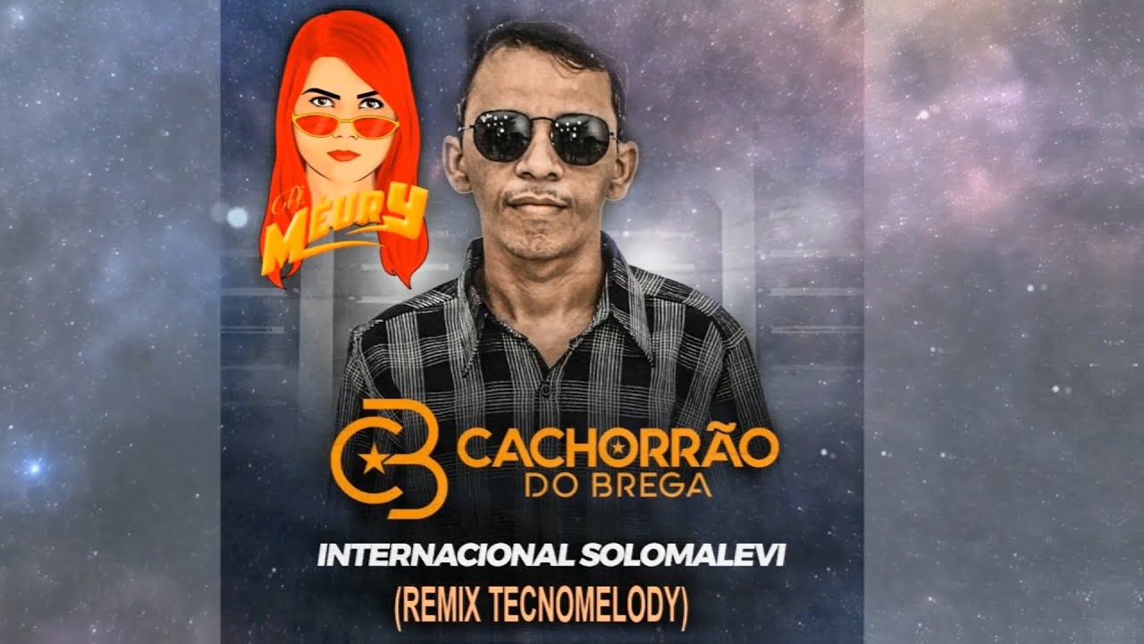 DJ MÉURY E CACHORRÃO DO BREGA – INTERNACIONAL SOLONALEVI (REMIX TECNOMELODY)